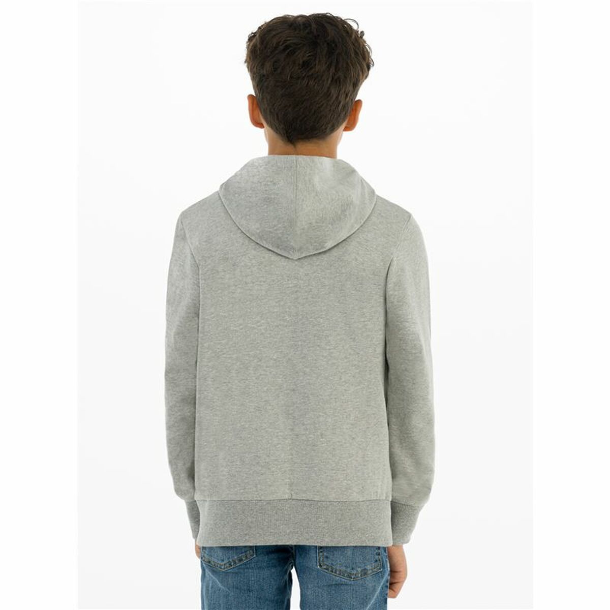 Men’s Sweatshirt without Hood Levi's Batwing Screenprint Grey