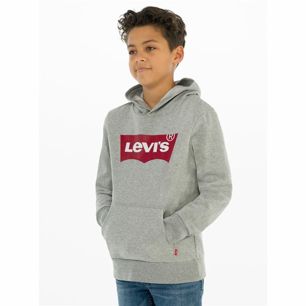 Men’s Sweatshirt without Hood Levi's Batwing Screenprint Grey