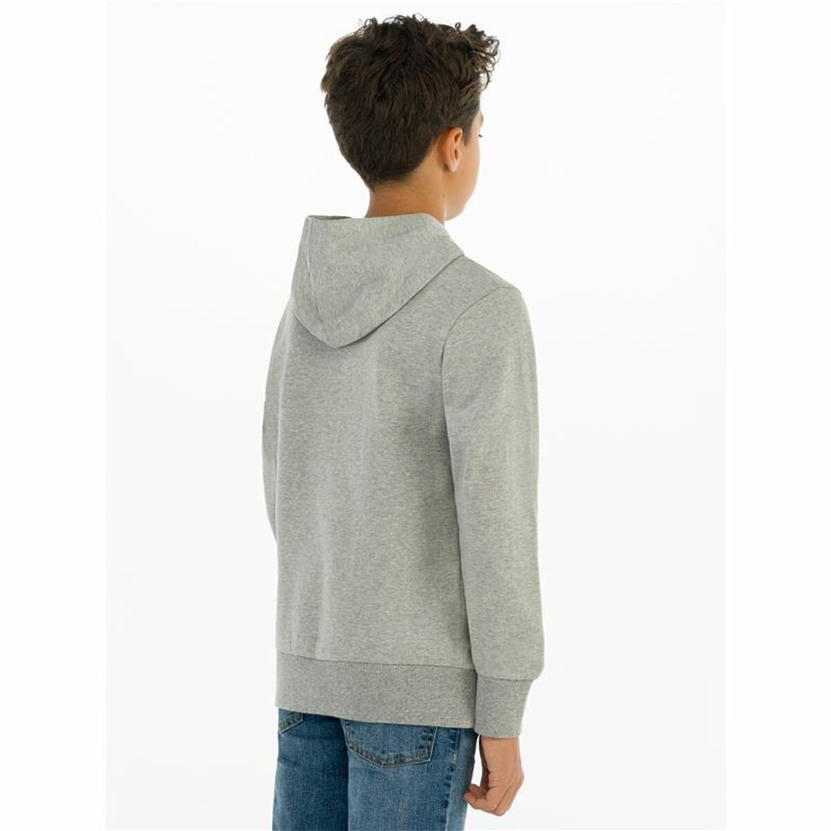 Men’s Sweatshirt without Hood Levi's Batwing Screenprint Grey